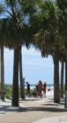 Sand Key Park beach