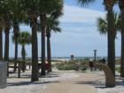 Sand Key Park has many amenities - shelters, showers, lifeguards, dog park, playground and more 