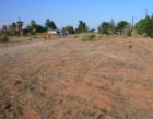 Many Vacant Buildable Fields in Apple Valley many are not listed for sale at this point