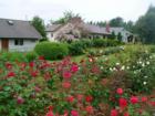 Nestled among the homes, at the north end of Cornwall Avenue, is the Cornwall Rose Garden