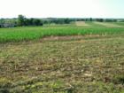 Ar118143572986933_l