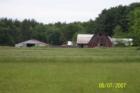 Hollis (c) Joan Whitebook  - Hollis Farm