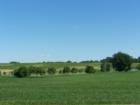 Farmland in Lakeville is quickly being eating up by development.