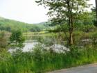 Scenic lake in New Milford