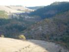 Another fall picture in Bingen