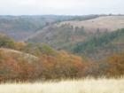 Fall in the Klickitat area