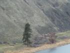 Canyon outside of Ellensburg.  