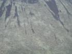 Big horn sheep along the Teanaway river.  Look close they were far away