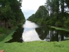 Florida at it's best!