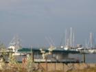 I'm hooked on the Harbor (Obvious, isn't it?)