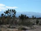 Baldy Mountain