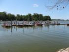 Antique boat festival at Lake Dora.