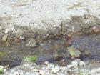Rock Formations in lassen