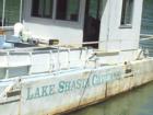 This is Parked Permanently until Someone Raises Shasta
