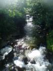 The falls in Waterfront Park, Bellingham