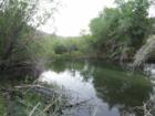 Reverse creek at sunset. 