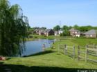 View a beautiful lake in the Stone Lakes neighborhood, Louisville, KY