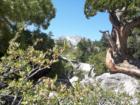 From a lookout over June Lake