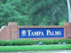 Fabulous Tampa Palms