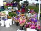 Flower Seller's Stall at Burien's Farmers Market every Thursday from 10AM to 4PM