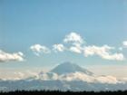 Impressive Mt. Rainier View from the Gregory Heights area.