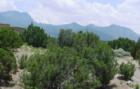 Placitas, NM