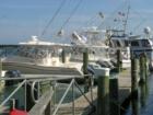 Big Rock Blue Marlin Fishing Tournament Is in its 49th Yr. -June-   $1,500,000 Purse- Plus a Great Charity Event !