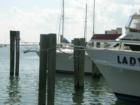 Come by Boat or by Car- The Morehead City Waterfront offers dining, shopping and Carolina Sunshine! 