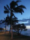 Evening at Magic Island