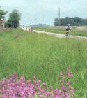 Algonquin has miles and miles of bike paths connecting to the Fox Valley Trail. Plenty of scenic river views, as well as a few refreshment stands along the way!