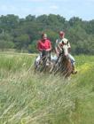 Hickory Grove, Cary Horseback Riding
      Over five miles of easy trails offer a gentle ride through woods and wetlands.