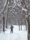 Outdoor enthusiasts can glide across over 40 miles of Cross-Country Ski Trails throughout McHenry County Conservation District sites