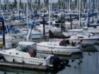 The marina, Point Roberts