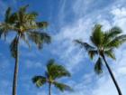 Perfect Hawaii weather in beautiful Kalihi Valley