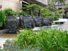 Pond in front of First Hawaiian Bank