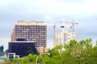 Bellevue Washington Tower Cranes