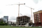 Bellevue Washington Cranes NE 10th and 110th