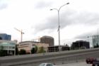 Bellevue, Washington Cranes from I 405