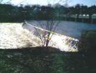 Elgin has 2 dams on the Fox River makes for great fishing