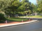 Flag Day - June 14 @ Braewood Heritage Square
