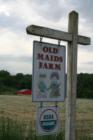 Sign for Old Maids Organic Farm in South Glastonbury, CT
      Drawing of two Dolls