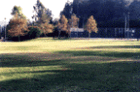 Maple Hill Park
      1355 S. Maple Hill Rd.