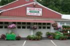 Draghi's Farm Stand on Rt.17 South Glastonbury, CT