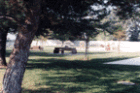 Paul C. Grow Park
      23281 E. Forest Canyon Rd.