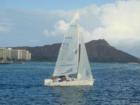 Sailers and Diamond Head View from off of Waikiki Beach