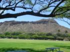 Kapiolani Park with Diamond Head in the background