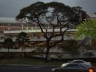 East side of "Ala Moana Shopping Center"!