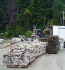 Shellfish farm, oysters in the shell ready to go out across the Pacific Northwest, Chuckanut Drive, Bow