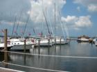Regatta Pointe Marina