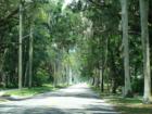 Tree Lined Riverview Drive